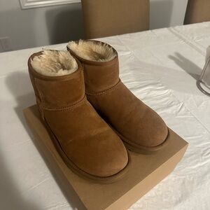 Chesnut mini Uggs